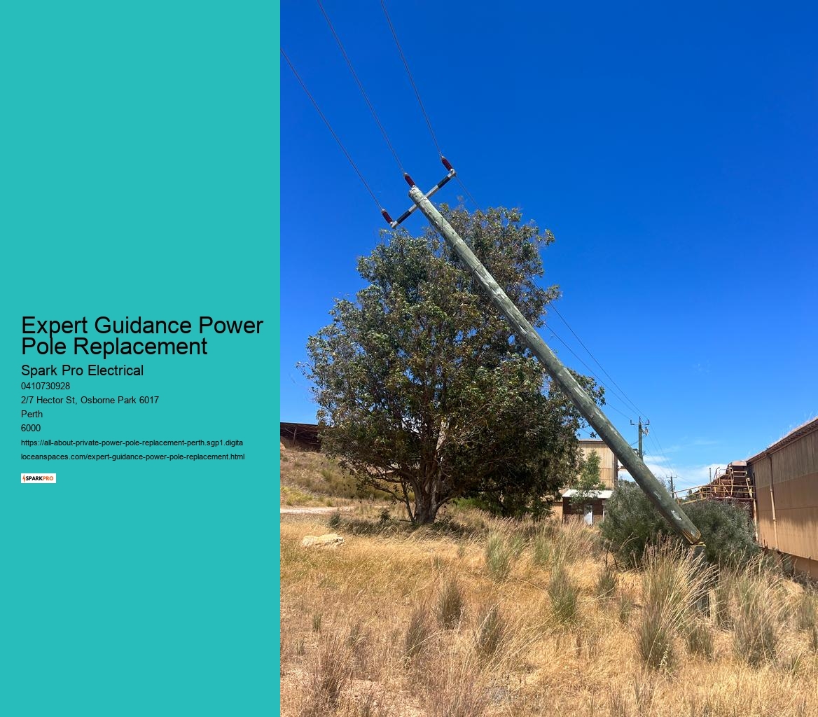 Optimal Private Power Pole Replacement Solutions